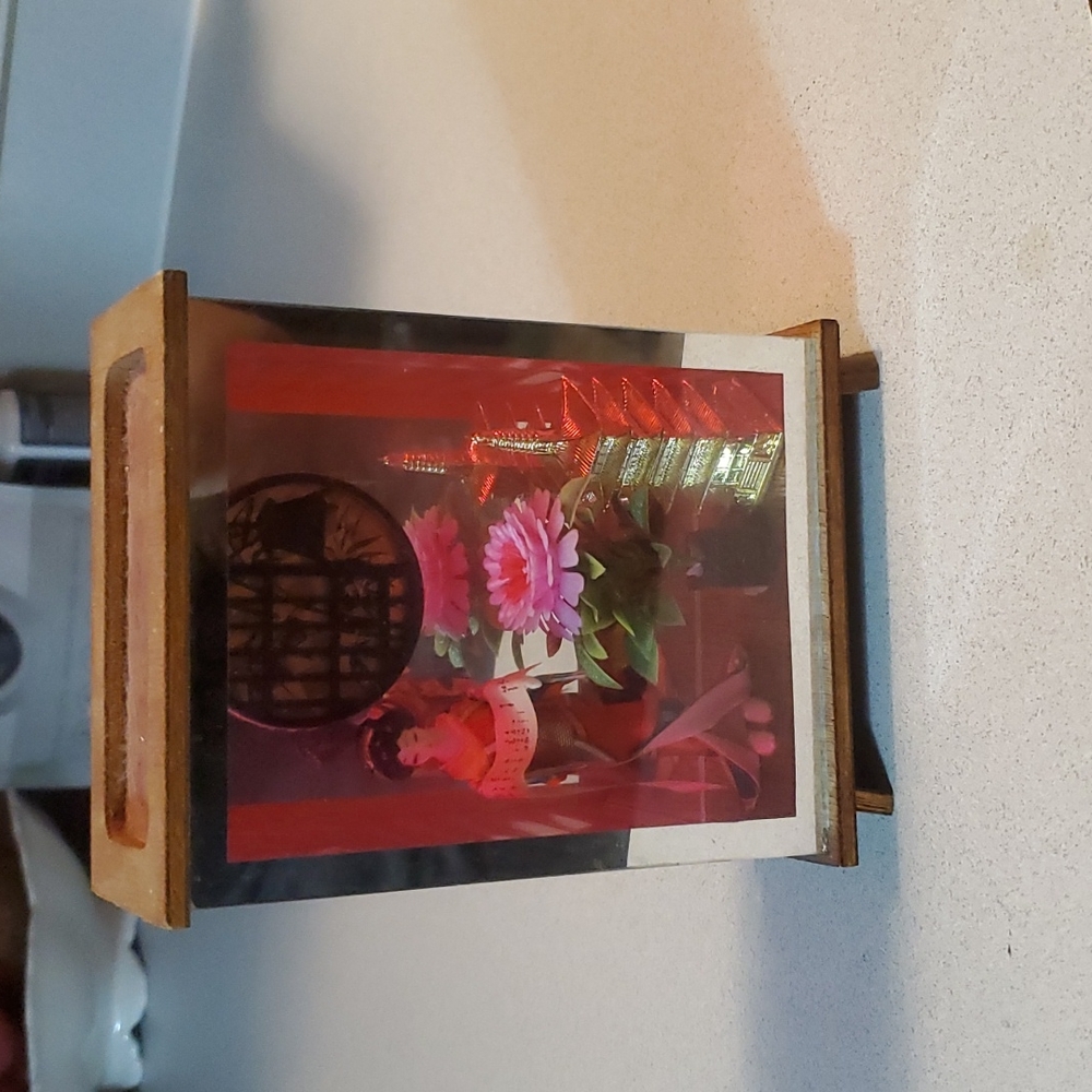 Glass and Plastic Case With Geisha